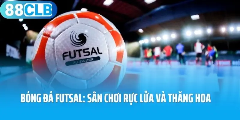 Bóng Đá Futsal: Sân Chơi Rực Lửa, Nơi Đam Mê Thăng Hoa